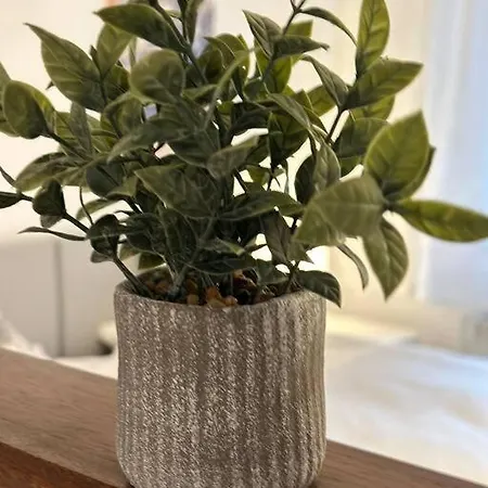 Zur Sternblume * Bruchweiler-Barenbach