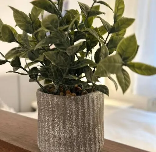 Zur Sternblume * Bruchweiler-Barenbach